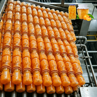 ENAK Automatische Apparatuur voor het Conserveren van Peren, Sinaasappels, Ananas en Perziken, Inclusief Verwerkingslijn