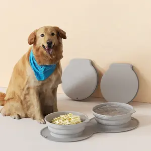 Ciotole per alimenti in Silicone senza BPA ciotole per cani per animali domestici 2 ciotole pieghevoli senza sversamenti tappetino in Silicone antiscivolo per esterni