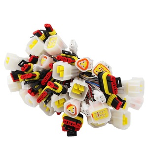 Arnés de cableado automotriz de 24 núcleos con conductor de cobre y aislamiento de PVC para carritos de golf, vehículos turísticos y grúas. - Product Image 1