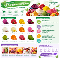 Poudre de fruits lyophilisés Herblink, prix d'usine, 100% poudres d'extraits de fruits et légumes lyophilisés