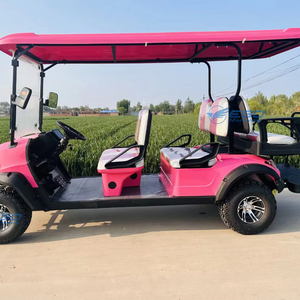 Carritos de Golf Eléctricos Tipo Buggy Color Rosa Princesa, Legales para Circular en la Calle, de 6 Plazas, para Turismo, en Venta - Product Image 5