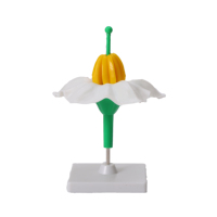 Modèle réaliste de fleur de pomme de terre pour l'enseignement et l'apprentissage des sciences Modèles interactifs pour les démonstrations en classe