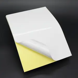 Mirror Cast Coated Glossy Self Adhesive Paper Sticker In Sheet Size Of 700X1000Mm