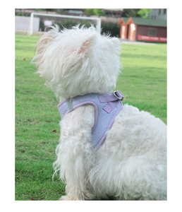 <strong>Cat</strong> Dog <strong>Harness</strong> Adjustable Vest Walking Lead Leash for Puppy Designer Dogs Collar Polyester Mesh <strong>Harness</strong> for Small Medium Dog - Product Image 3