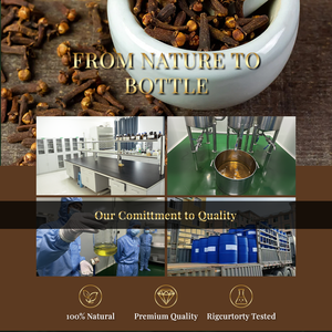 Therapeutic Grade Raw Cold Pressed Clove <b>Essential</b> <b>Oil</b> 100% Pure Natural for Hair & Tooth Care Bulk Supplier - Product Image 6