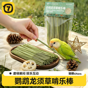Bâton à mâcher en herbe pour perroquets, branche rugueuse, jouet à mâcher pour oiseaux, pour perroquets et calopsittes, herbe naturelle barbe de dragon - Product Image 2