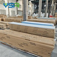 Panel de Techo Ligero de PVC con Acabado de Superficie Elegante para Espacios Comerciales