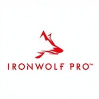 IronWolf Pro 12 TB Disque Dur Mécanique NAS d'Entreprise CMR 3,5 Pouces SATA 6 Gb/s 7 200 tr/min 256 Mo de Cache ST12000NT001