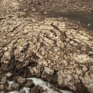 Produit frais et sûr, exportateur indien, fournit 1 kg de compost de vermis, engrais organique - Haute qualité, qualité d'exportation, meilleur prix - Product Image 6