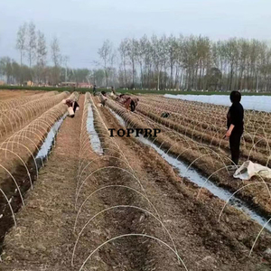 Varilla de fibra de vidrio flexible de alta calidad de 4mm 5mm 6mm 7mm 8mm para cobertizo de arco agrícola - Product Image 6