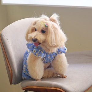 Vêtements pour animaux de compagnie, robe florale bleu ciel, respirante, style décontracté été-printemps - Product Image 3