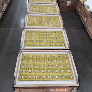 แบตเตอรี่ Thunder Sky Winston รุ่น WB-LYP700AHA Lifepo4 700ah สำหรับเก็บพลังงานแสงอาทิตย์ ใช้กับรถยกไฟฟ้า - Product Image 4