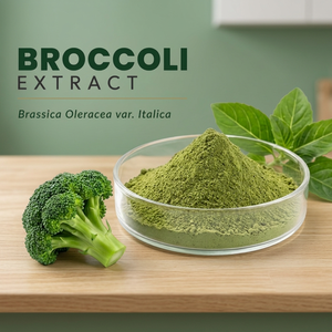 Extracto de Brócoli en Polvo, Brassica Oleracea Var Italica, Extracto Natural de Planta para Fórmulas Alimenticias y Nutricionales - Product Image 3