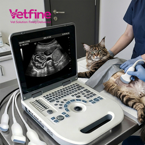 Sistema <span class=keywords><strong>de</strong></span> Ultrasonido Veterinario, Transductor Veterinario, Escáner <span class=keywords><strong>de</strong></span> Ultrasonido - Product Image 2