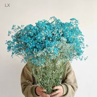 Fleurs de Gypsophile Séchées Naturelles de Haute Qualité, Fleurs Éternelles Préservées pour la Décoration de Mariage
