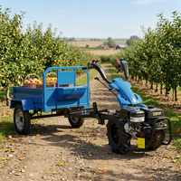 Motoculteur rotatif à moteur certifié CE BCS pour agriculteurs