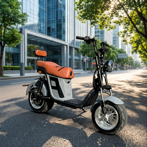 รถมอเตอร์ไซค์ไฟฟ้า DAYI <span class=keywords><strong>MOTOR</strong></span> Citycoco Streetbikes กำลังไฟ 1000 วัตต์ มอเตอร์แบบไร้แปรงถ่าน แบตเตอรี่ลิเธียม 60 โวลต์ โครงเหล็ก ความเร็วสูงสุด 60 กม./ชม. - Product Image 3