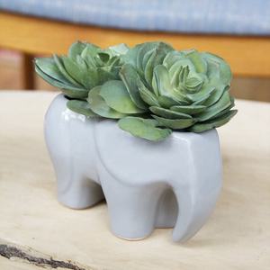 Macetas de Cerámica al por Mayor, Macetas de Flores con Diseño de Animales de Dibujos Animados, Rata, Búho, Zorro, Oso, Cactus, Mini Macetas de Cerámica para Suculentas - Product Image 6