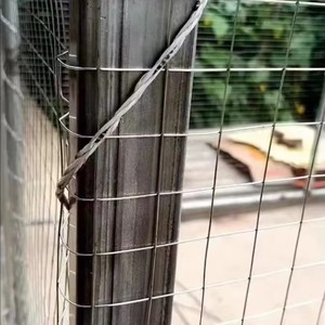 Hot-dip Galvanized <b>Wire</b> <b>Mesh</b>, Welding <b>Wire</b> <b>Mesh</b>, Used for Making Jaulas Para Gallos, Protective <b>Wire</b> <b>Mesh</b> - Product Image 4