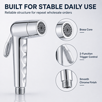 Douchette WC murale 2 fonctions OEM ODM en ABS chromé avec noyau en laiton, pulvérisateur Shattaf