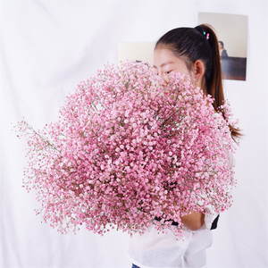Ramo de Gypsophila secas naturales para bebé, flores para bebé, Gedroogde, decoración de boda, Dekoration - Product Image 3