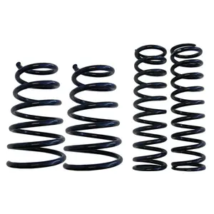 OEM ODM Custom Compression Torsion Coil Spring Shape Memory Alloy Titanium Nitinol Spring Supplier From China