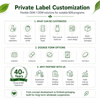 Gummies Super Greens Marque Blanche OEM ODM Formule Personnalisée Sans Sucre Complément Bien-être Fabrication en Gros Fournisseur Marques