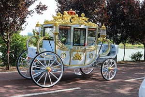 Calèche électrique de mariage, calèche royale à chevaux à vendre, transport spécial, calèche électrique de tourisme pour mariage, personnalisable - Product Image 3