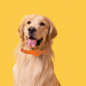 Apple Airtag Location Tracking Collar para mascotas GPS Collar para mascotas - Product Image 6
