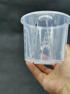 Vaso di fiori trasparente a corto grasso Qingshan con controllo della radice Phalaenopsis Cattleya plastica tropicale classico - Product Image 2