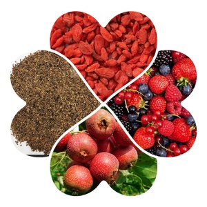 Suplementos Herbales Premium OEM, 30 Unidades de 6g, Cinco Sabores: Bayas de Goji, Bayas de Chisandra, Dodder, Combinación de Té Herbal para Hombres - Product Image 6