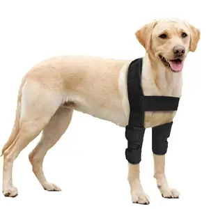 Pet Dog Knies tütze Neopren Hund vorne hinten Double Dual Leg Brace Set Verletzung Verstauchung schutz Hunde zubehör