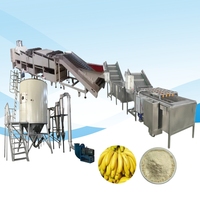 Nieuwe Technologie Bananenpoeder Verwerkingsmachine Bananenpuree Poeder Droogmachine