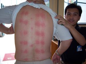 مصنع البوب supplycm مبدأ الاسترخاء اليشم المنزل استخدام الأثاث الصحي - Product Image 2