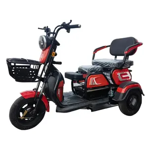 Sepeda Listrik, E bike Mini penumpang tiga roda listrik sepeda kargo sepeda motor listrik untuk dewasa