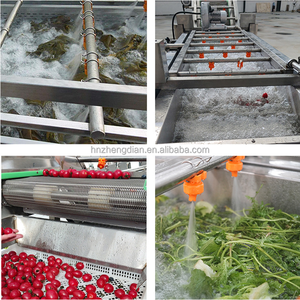 Laveuse industrielle de maïs, tomates, laitues, dattes, fruits et olives - Product Image 6