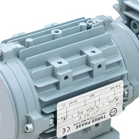 Moteur asynchrone triphasé SSJ YX3 0,75 kW 80S-2 250 mm 1400 tr/min 0,75 kW Montage sur pied Industriel CA 220/380 V 50/60 Hz Efficacité IE3