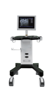 Alat USG Digital Full Trolley 15 Inci B&W, Peralatan Diagnostik Medis, Harga Mesin USG & USG 750 - Product Image 4