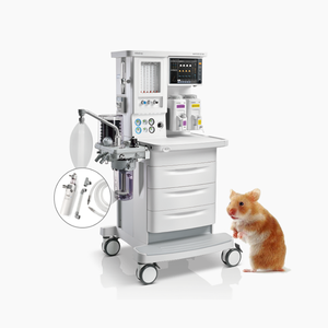 <span class=keywords><strong>Mindray</strong></span> <span class=keywords><strong>Wato</strong></span> <span class=keywords><strong>Ex</strong></span>-<span class=keywords><strong>35</strong></span> Dierenarts Medische Apparatuur Anesthesie Instrumenten Anesthesie <span class=keywords><strong>Machine</strong></span> 2 Vaporizers Halothrane S6100d - Product Image 2