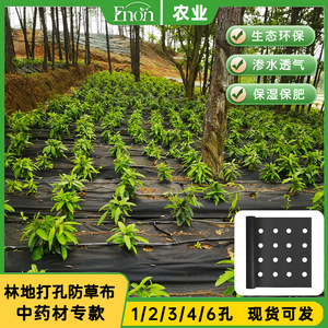 Toile de paillage EP10020 0,6m-1,8m en polypropylène PP anti-UV pour jardin - Product Image 3