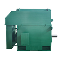 Moteur asynchrone à cage d'écureuil haute tension 6 kV 1250 kW |   Moteur triphasé AC YKK800-10 596 tr/min pour machines industrielles