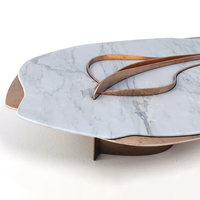 Table basse en marbre Dream Home Soft Contour, plateau irrégulier, décor en laiton courbé, table de salon haut de gamme premium