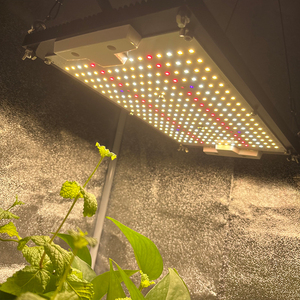 Vente chaude 120Watt King Brite Samsung LM281B UV IR Full Spectrum Board KingBrite Lled Grow Light - Product Image 5