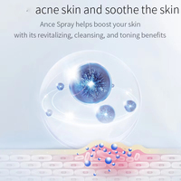 Portable Visage Brume Organique Acide Glycollique Huile D'arbre À Thé Anti Acné Dos Corps Visage Toner Brume Visage Spray