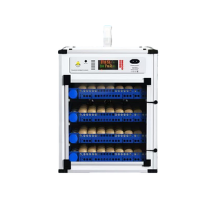 L'incubatore completamente automatico per uso domestico offre un ambiente controllato, con conseguente maggiore efficienza e tassi di successo. - Product Image 1