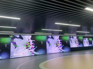 Sân vận động trong nhà và hình vuông linh hoạt COB dẫn hiển thị bảng điều khiển cho sáng tạo cong cài đặt - Product Image 3