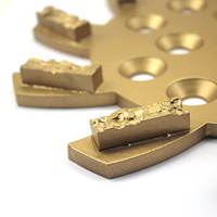 Ensoleillé 10 pouces plancher diamant plaque de meulage 250mm PCD diamant Segment meule pour le polissage