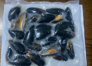 Toàn bộ vỏ trai chân không đóng gói Ngao sản phẩm - Product Image 2