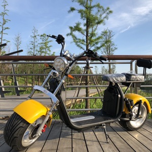 Scooter Elettrico Stile Italiano Omologato EEC, Potente Vespa Elettrica 60V, Citycoco Retrò - Product Image 1