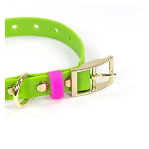 Collar de perro impermeable con correas recubiertas de PVC, bonitos colores, collares clásicos personalizados para mascotas, correa a juego con hebilla de Metal - Product Image 4